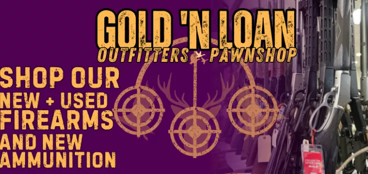 Gold "N Loan